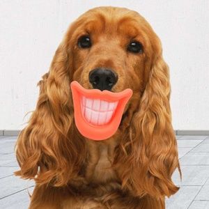 Smiling Lips Dog Chew Toy